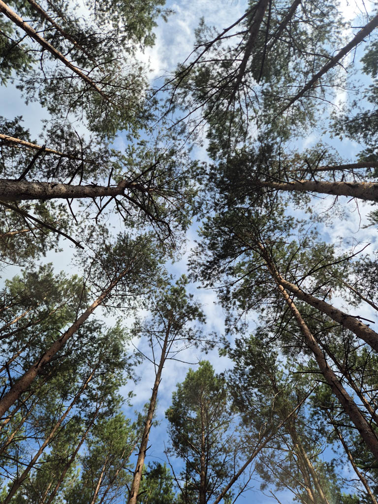 Kamieniarz Architektura Krajobrazu Realizacje