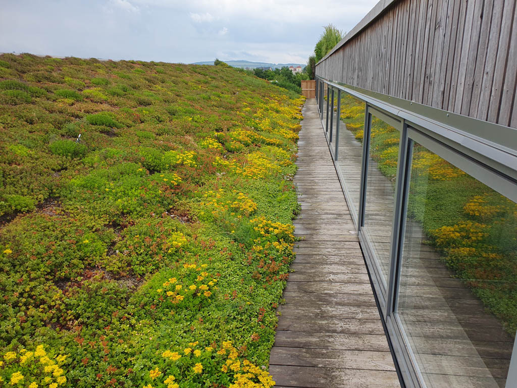 Kamieniarz Architektura Krajobrazu Realizacje