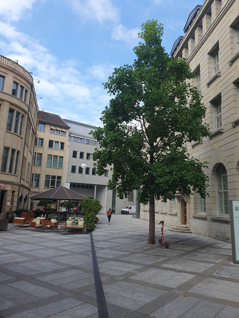 Kamieniarz Architektura Krajobrazu Realizacje