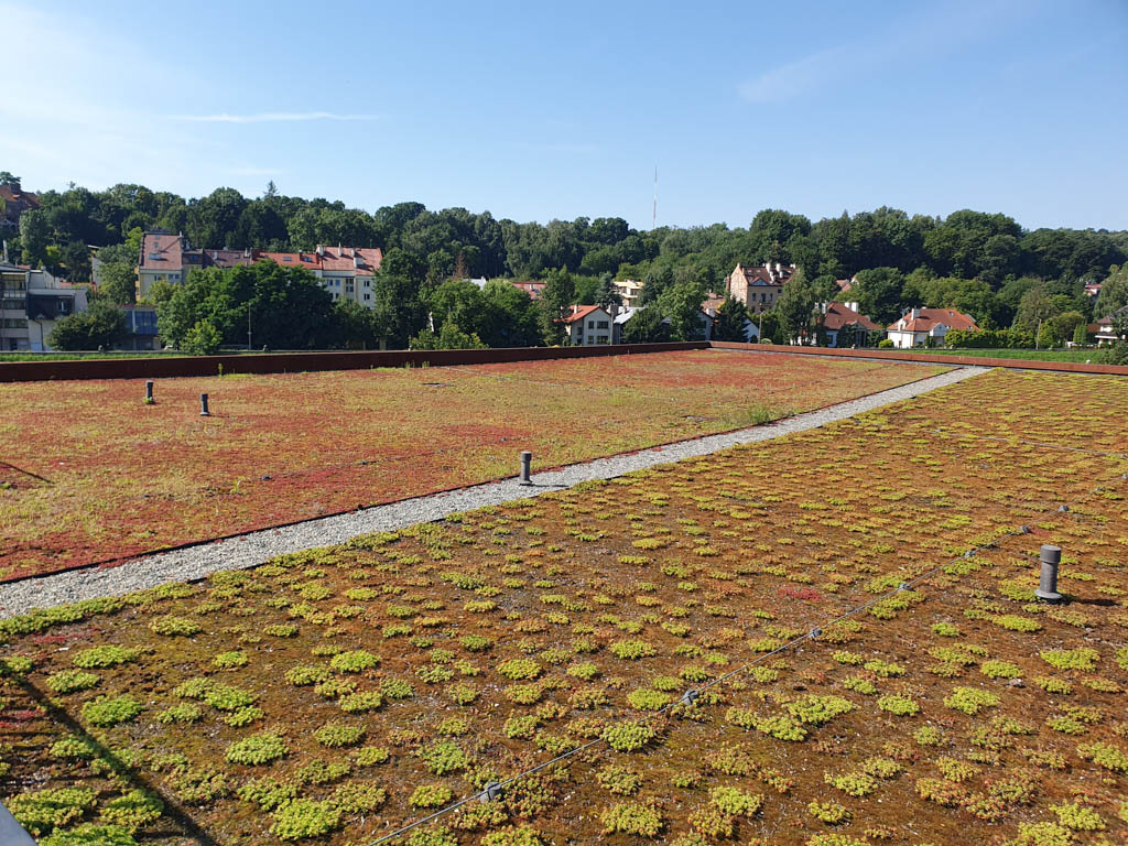 Kamieniarz Architektura Krajobrazu Realizacje